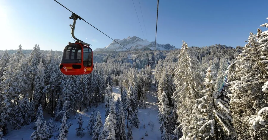 Eine rote Gondel über verschneitem Fichtenwald